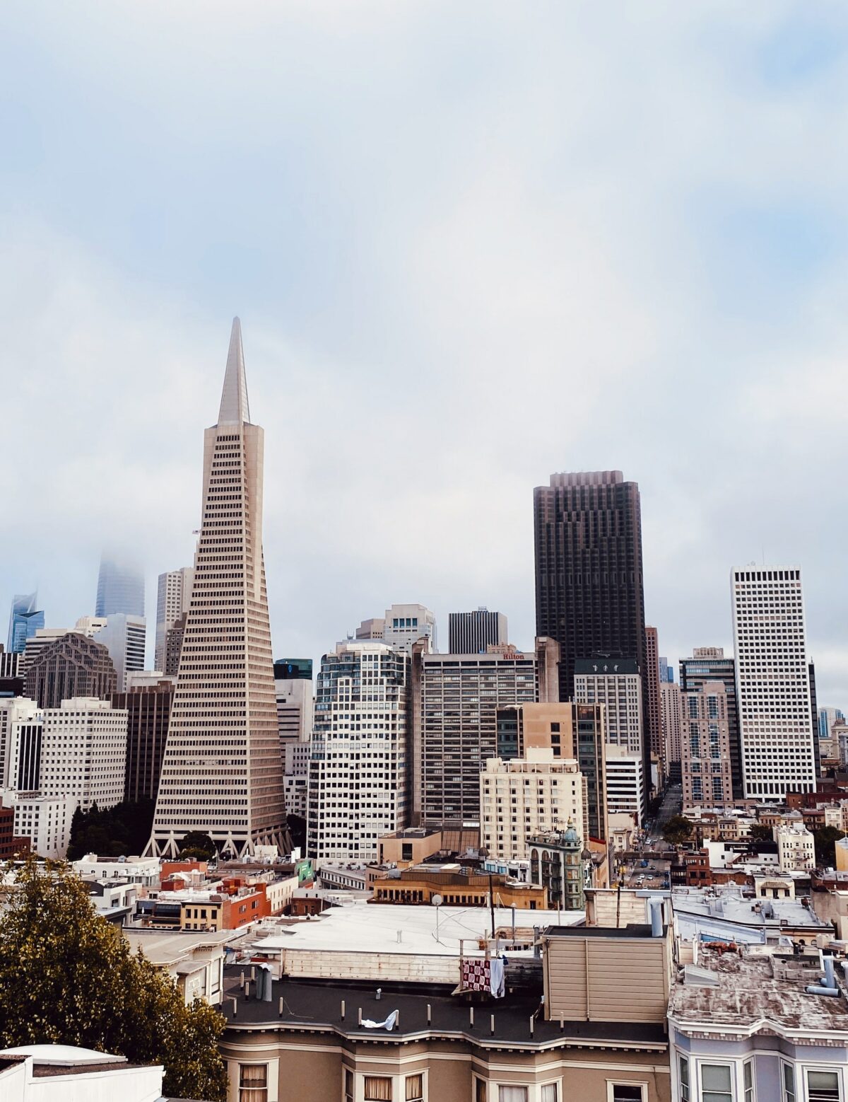 San Francisco Skyline with Transamerica building at center