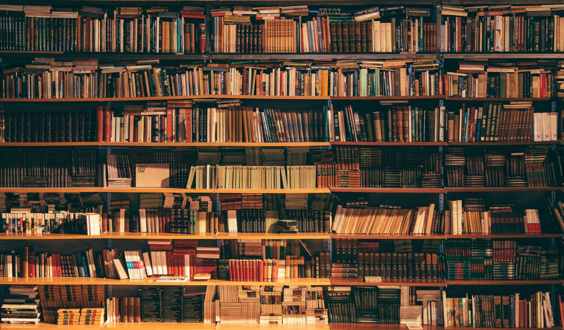 image of many books on multiple shelves on wall. No one is in this picture.